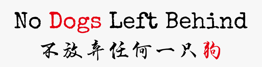 Curating The Good - Hive Bangkok, Transparent Clipart