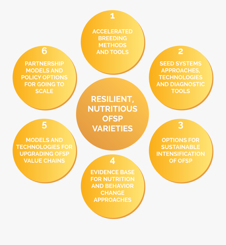 We Will Engage With Regional Research And Nutrition - Circle, Transparent Clipart