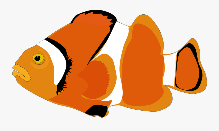 Clownfish Cartoon Computer Icons - Ocean Fish Clip Art, Transparent Clipart