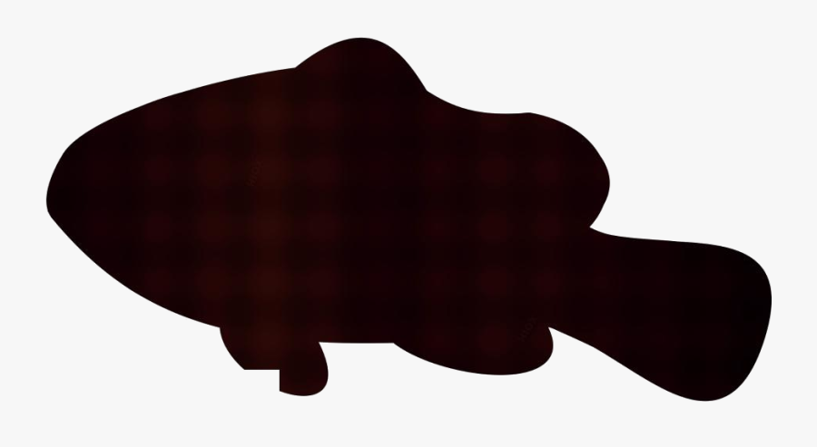 Transparent Clownfish Clip Art - Marine Mammal, Transparent Clipart