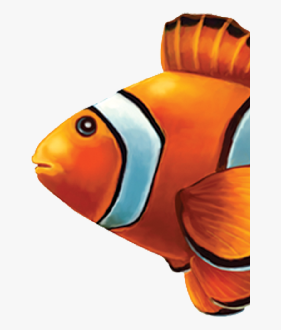 Little Tile Inc Online - Clown Fish Side View, Transparent Clipart