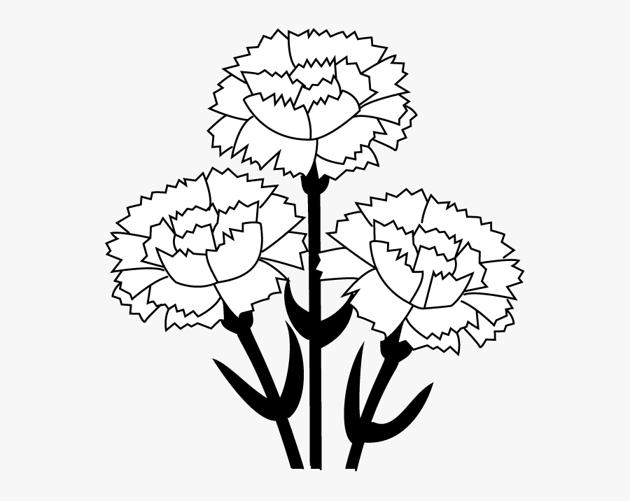 Carnation Clip Art - White Carnation Clip Art, Transparent Clipart