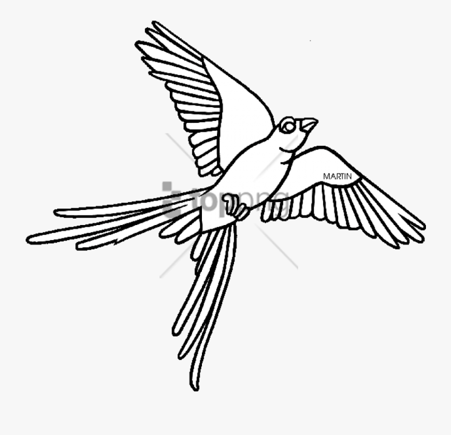 Oklahoma Outline Png - Oklahoma State Bird Clipart, Transparent Clipart