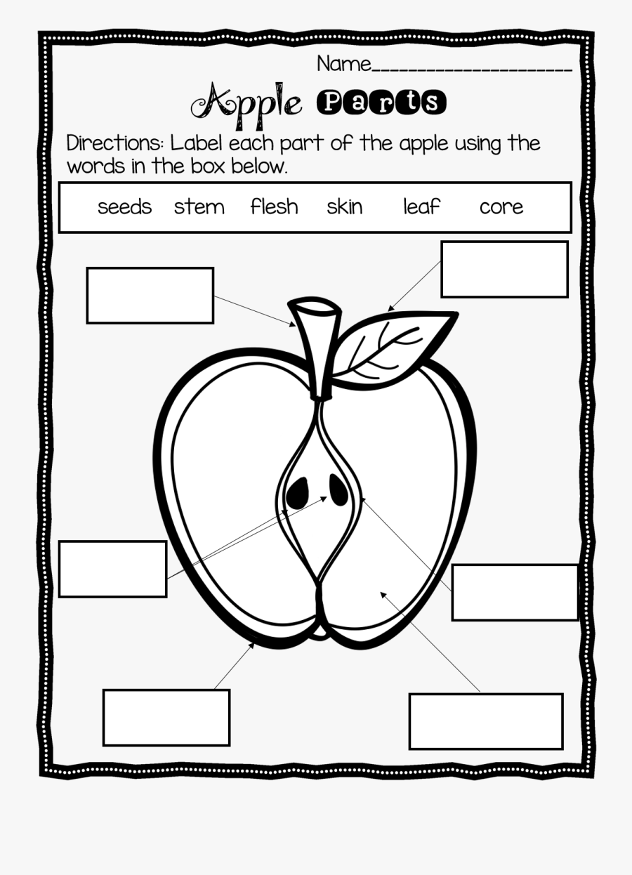 Parts Of An Apple Worksheet Worksheets For All - Label The Parts With Regard To Parts Of An Apple Worksheet