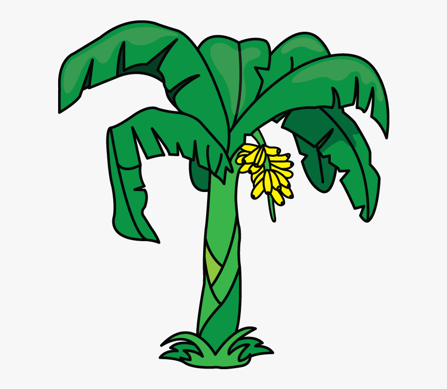 Palm-tree - Cartoon Banana Tree Drawing, Transparent Clipart