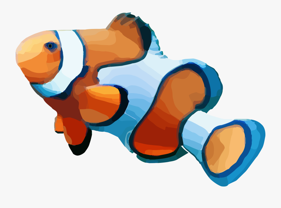 Clownfish Transparent Background , Png Download - Clownfish, Transparent Clipart