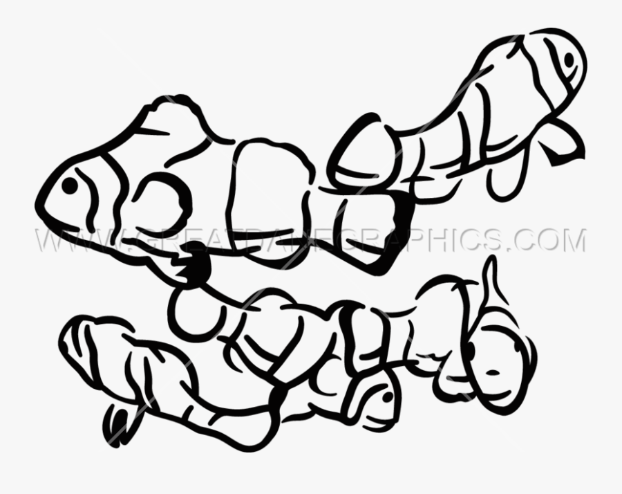 Transparent Clown Fish Png, Transparent Clipart