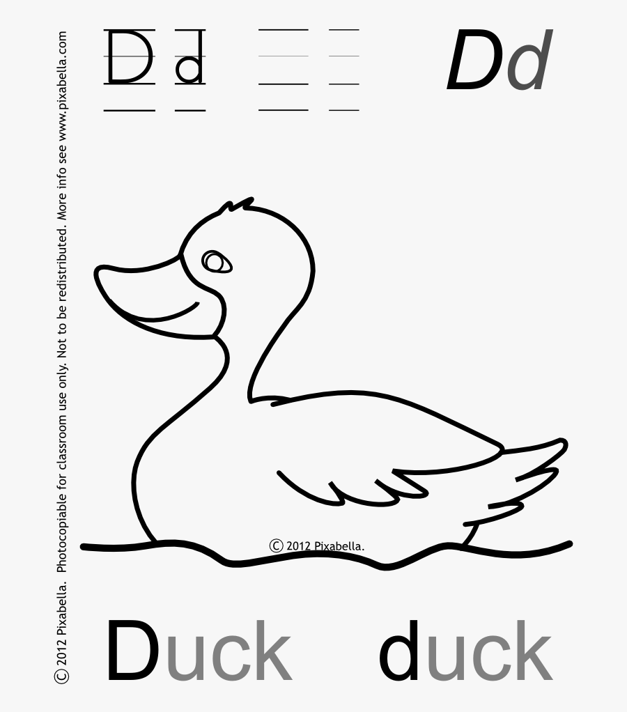 Clip Art Letter D Coloring Pages - Duck, Transparent Clipart