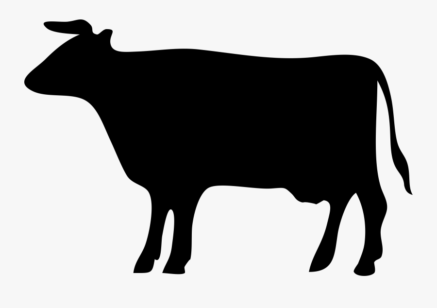 Beef Cattle Silhouette Drawing Dairy Cattle Graphic - Cow Silhouette, Transparent Clipart