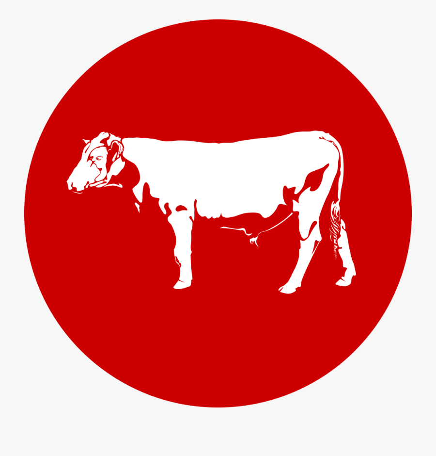 More About Holt - Illustration, Transparent Clipart