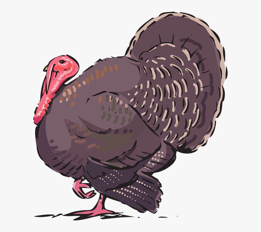 Birds Turkey Wild Clipart, Transparent Clipart