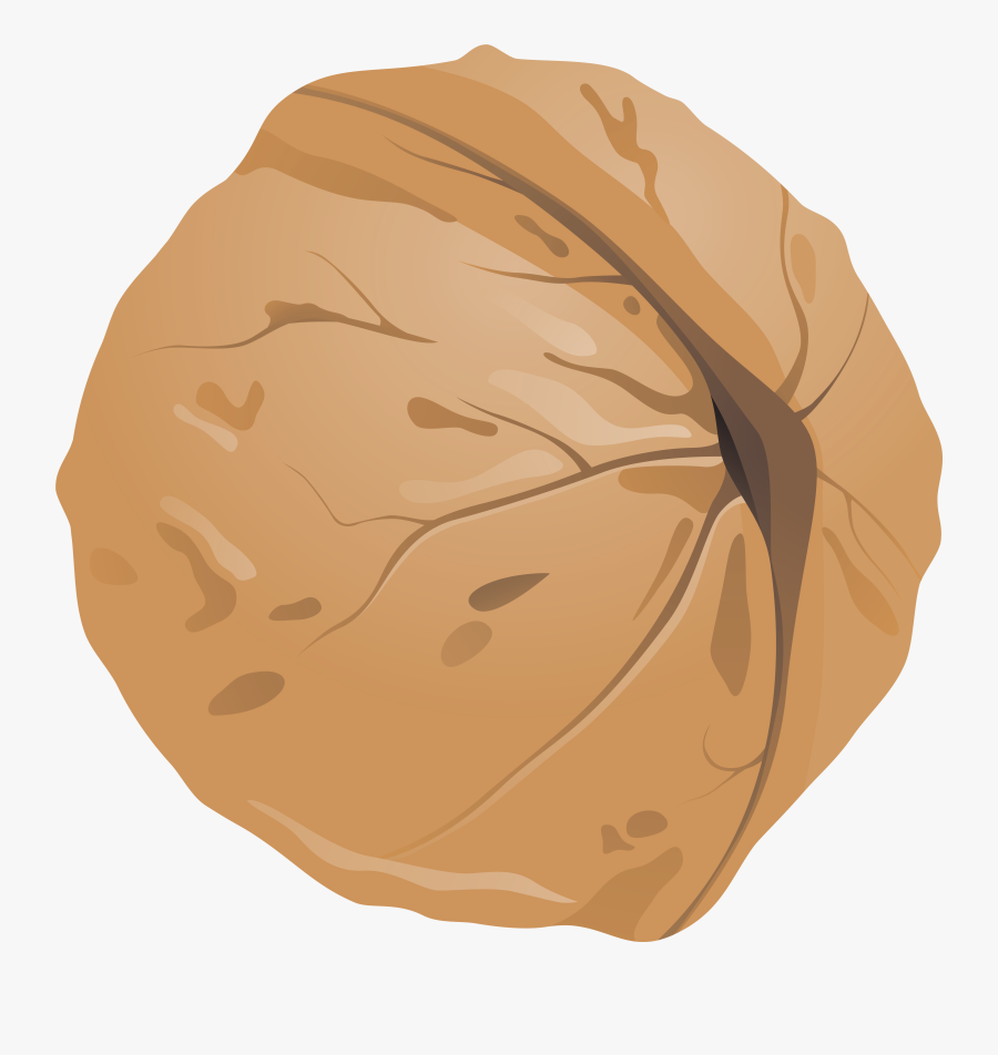 Walnut Png Clipart Image - Walnut Clipart Png, Transparent Clipart