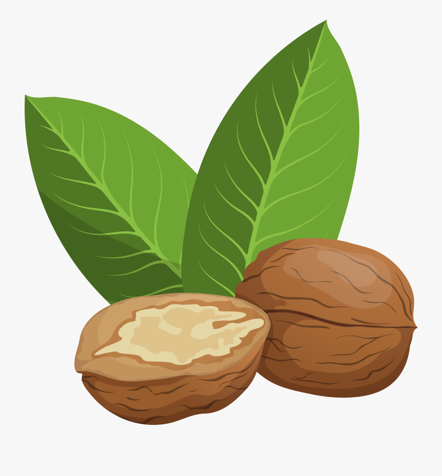 Walnuts Png Clip Art, Transparent Clipart