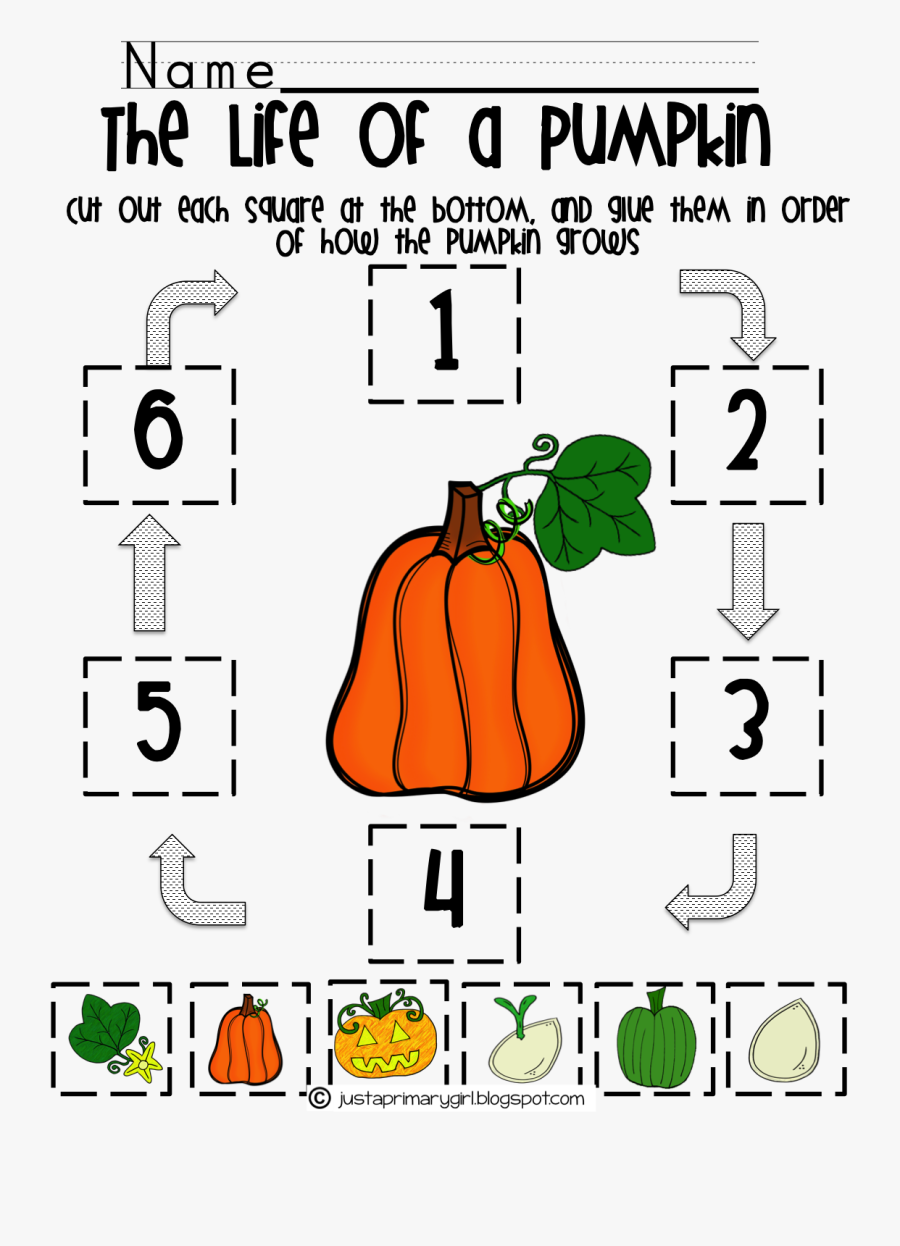 Printable Pumpkin Life Cycle Worksheet