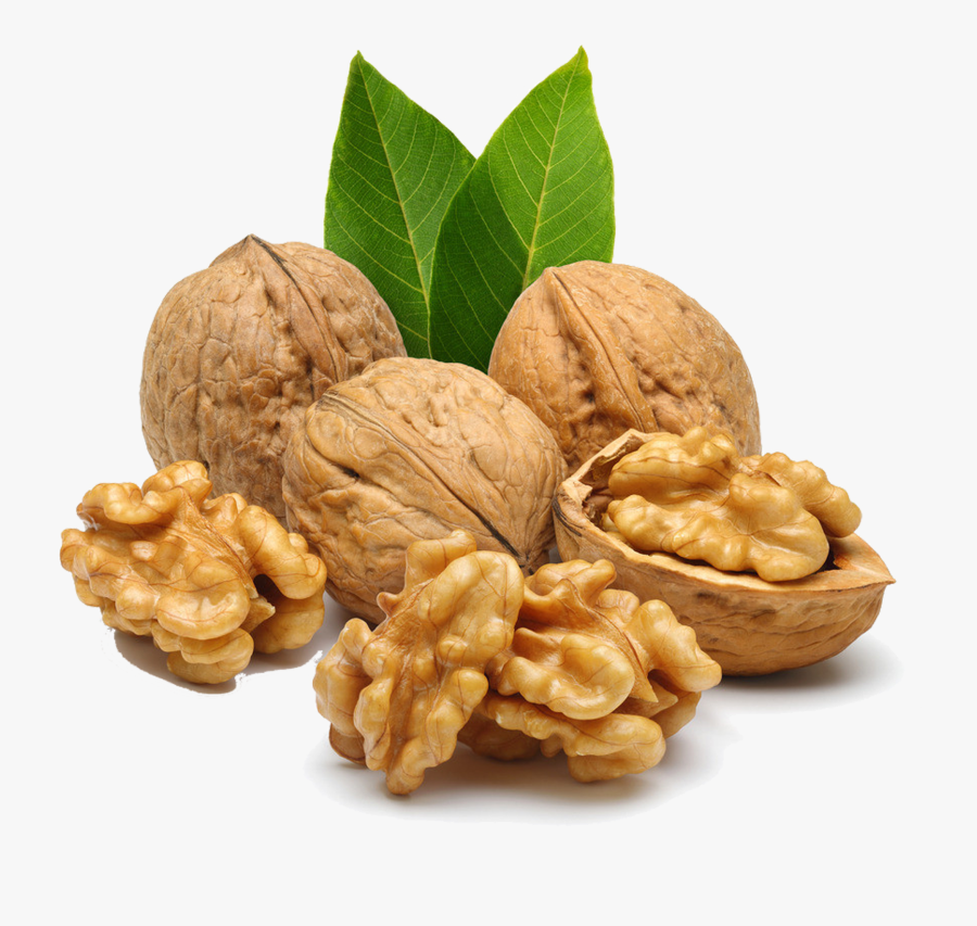 Walnut - مغز گردو, Transparent Clipart