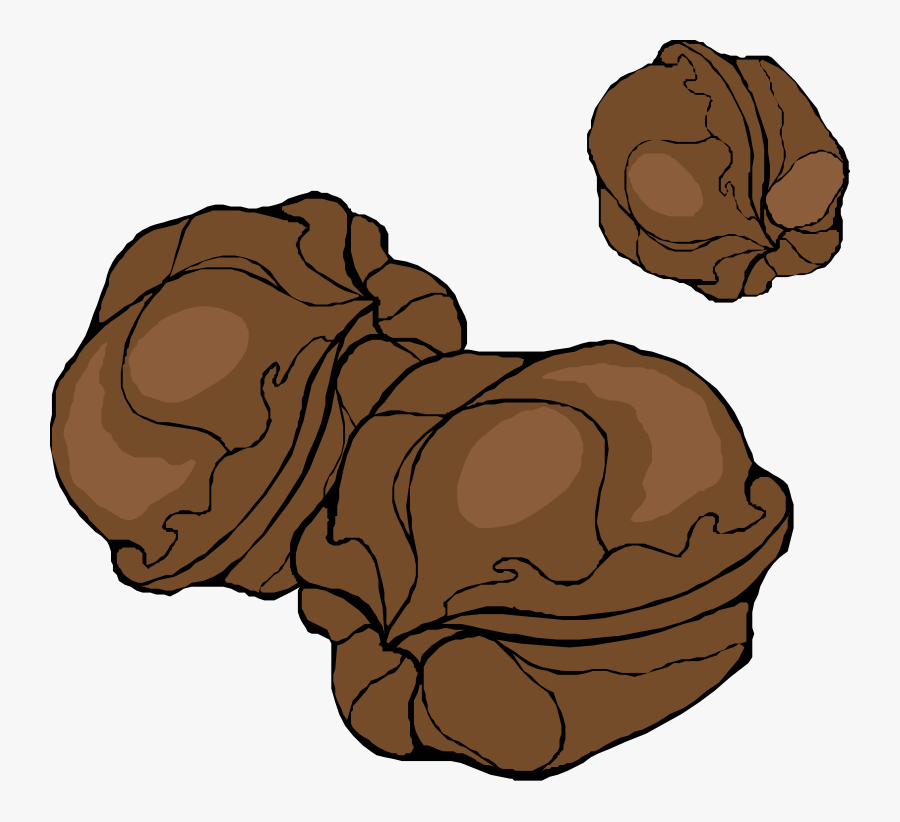 Walnuts Clipart, Transparent Clipart