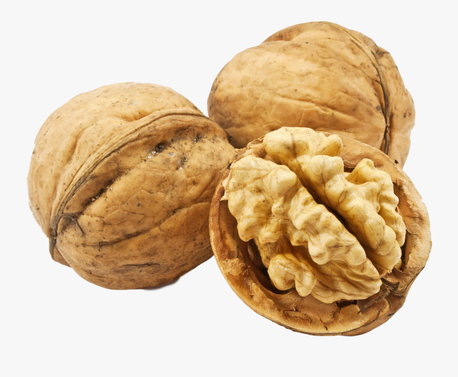 Walnuts Png Transparent Image - Transparent Walnut Png, Transparent Clipart