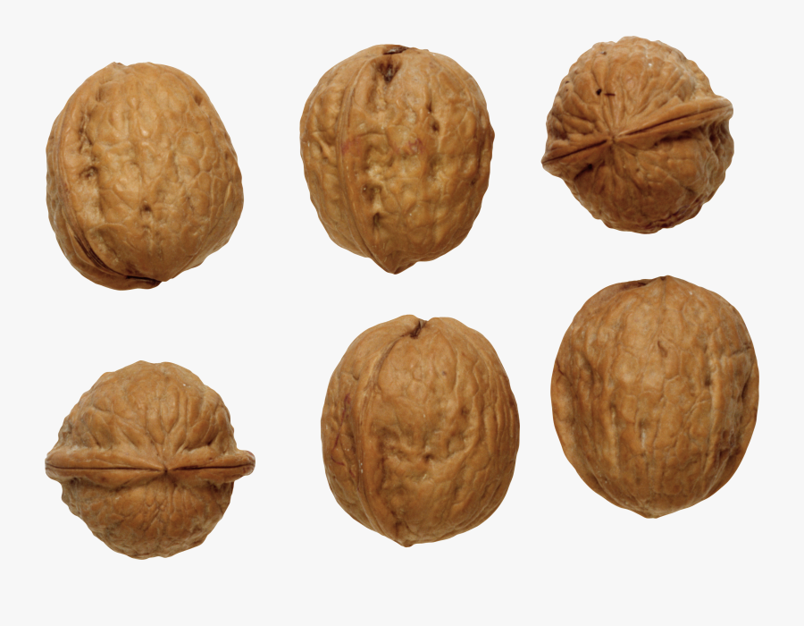Walnut Png - Грецкий Орех Png, Transparent Clipart