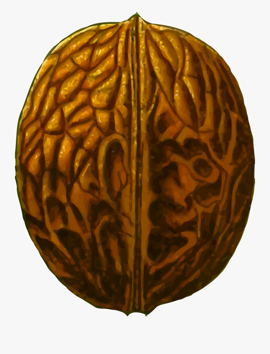 Cucurbita,winter Squash,carving - Walnut Clipart Png, Transparent Clipart