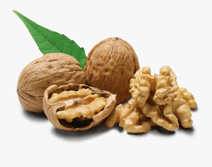 Walnut Png Image - Walnuts Png, Transparent Clipart