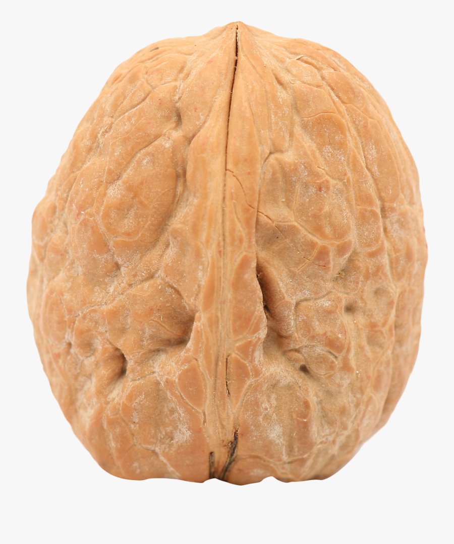 Walnut Png - Single Walnut Png, Transparent Clipart