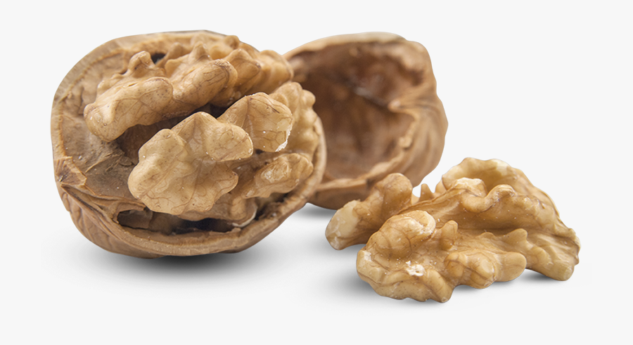 Transparent Walnut Clipart - Nuez Imagen, Transparent Clipart