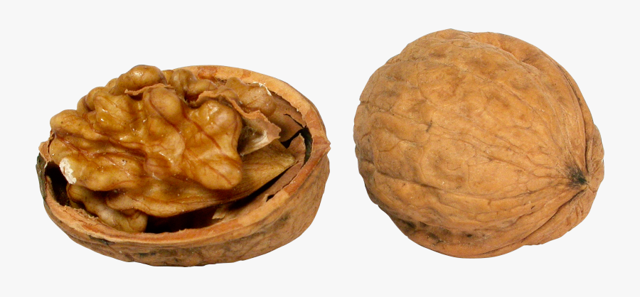 Download This High Resolution Walnut Icon Clipart - Nut, Transparent Clipart