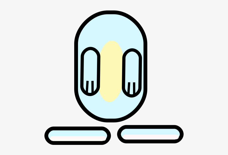 Bunny Body Cartoon, Transparent Clipart