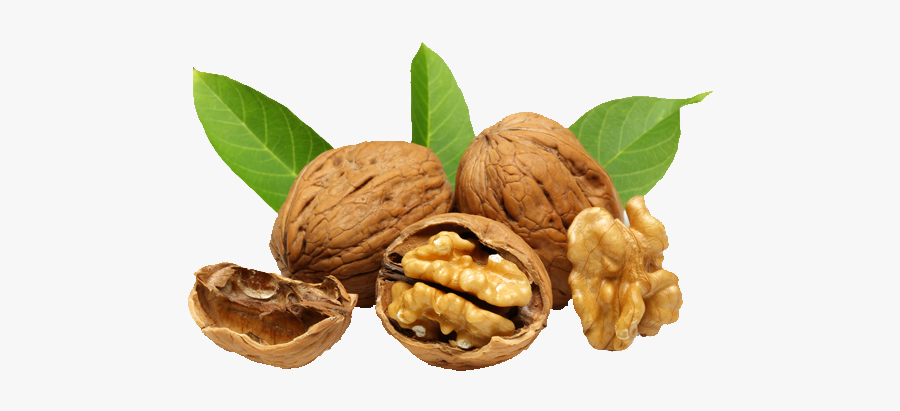 Walnut Png - Walnuts Png, Transparent Clipart