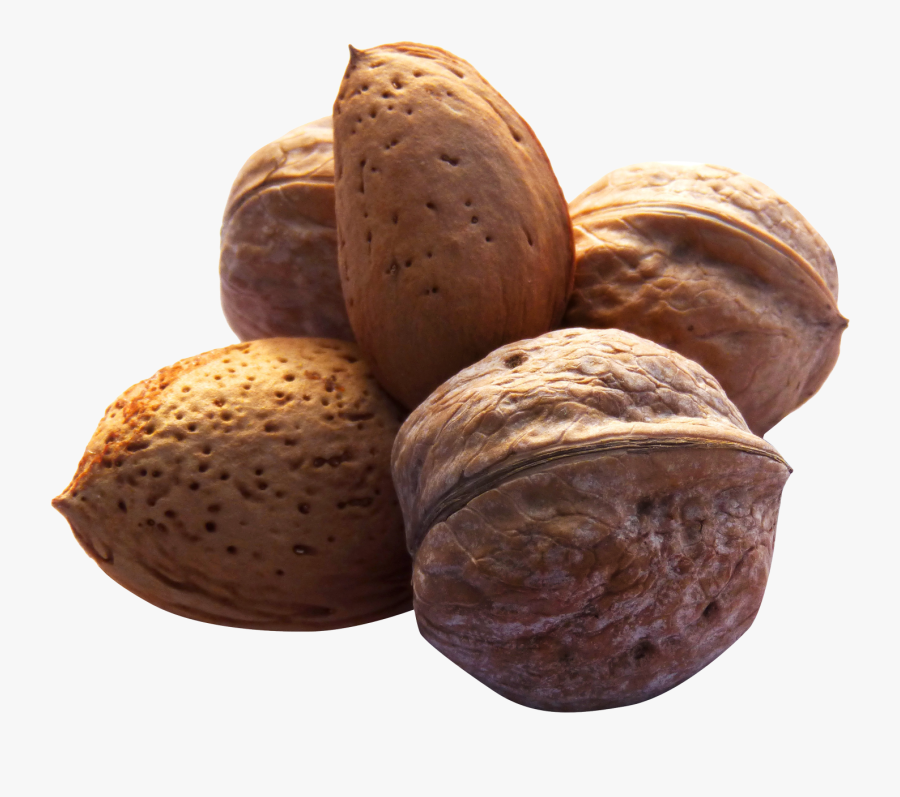 22850 - Transparent Nuts, Transparent Clipart