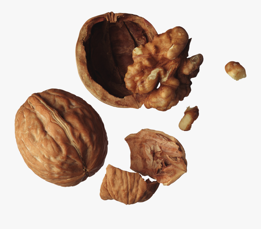 Now You Can Download Walnut Png In High Resolution - Walnut Inside, Transparent Clipart