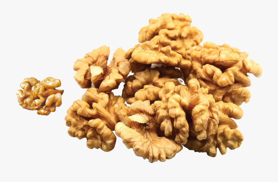 Nuts Clipart Oil Seed - Graikiniai Riešutai, Transparent Clipart