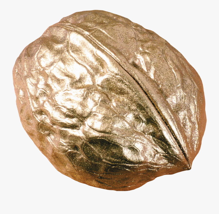 Now You Can Download Walnut Icon Clipart - Золотой Орех Пнг, Transparent Clipart