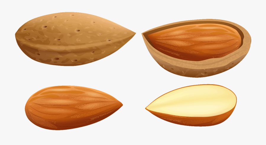 Nuts Clipart Almond - Almond Clipart, Transparent Clipart