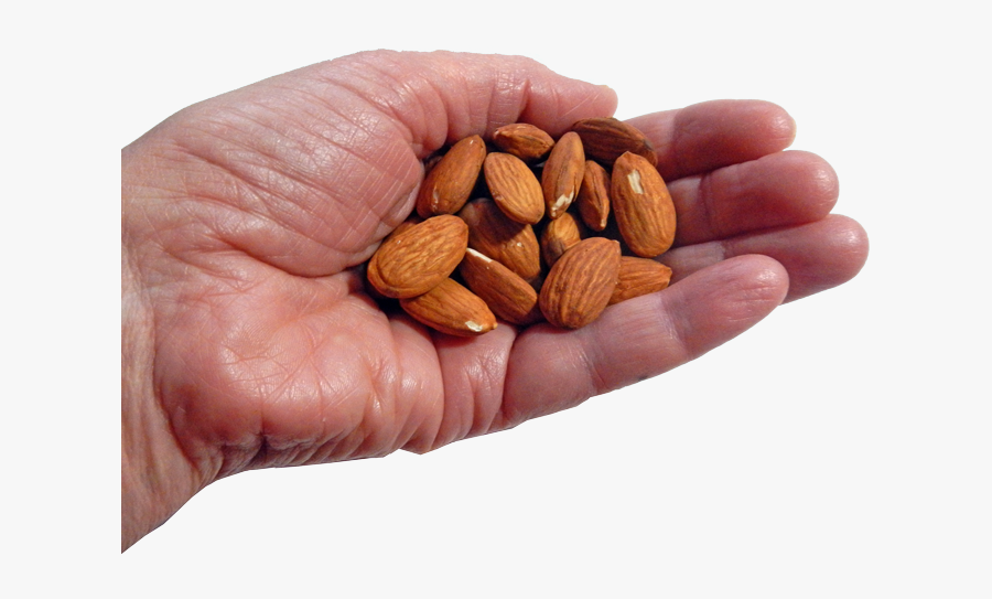 Handful Png - One Handful Nuts, Transparent Clipart