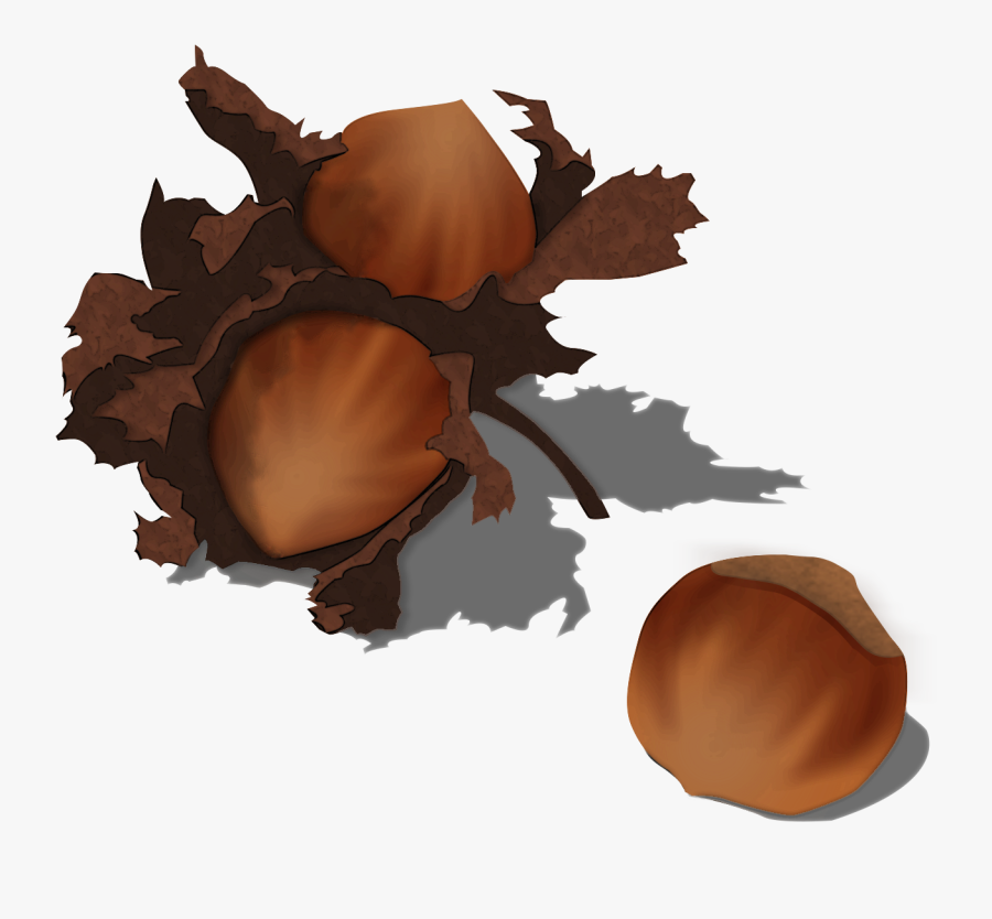 Acorn Clipart Hazelnut - Illustration, Transparent Clipart