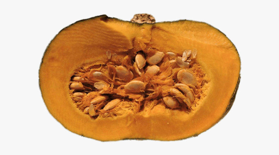 Pumpkin Seed Clipart - Penis Size Bigger Pumpkin Green, Transparent Clipart