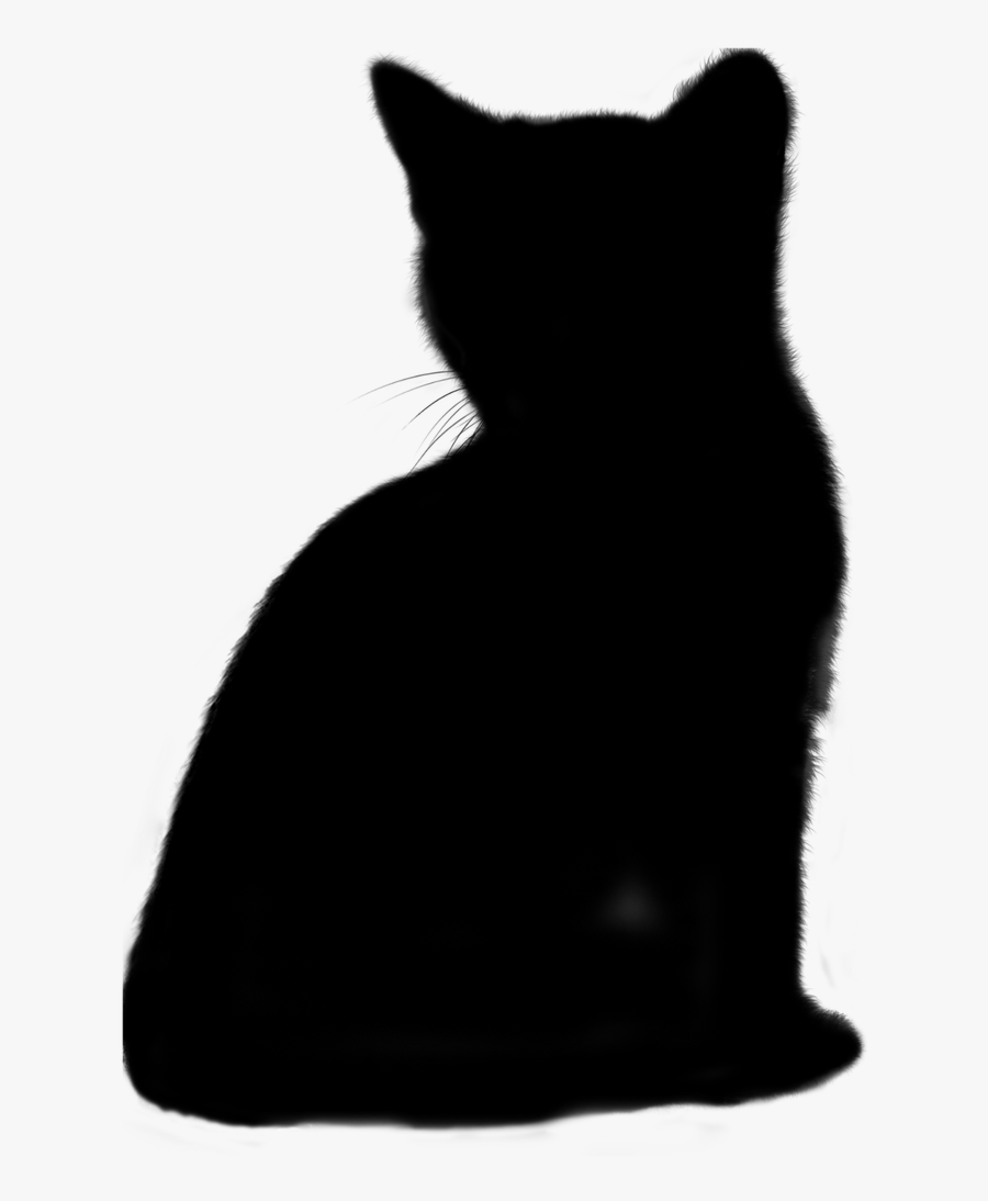 Cat Animal Silhouette Free Picture - Cat, Transparent Clipart