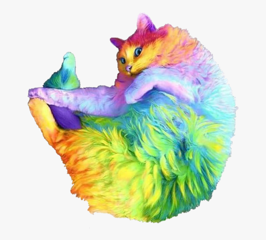 Harry Rainbow Pussycat, Transparent Clipart