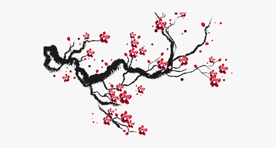 Drawing Cherry Blossom Branch, Transparent Clipart