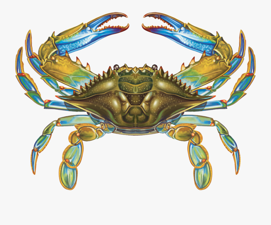 Md Blue Crab Drawing, Transparent Clipart