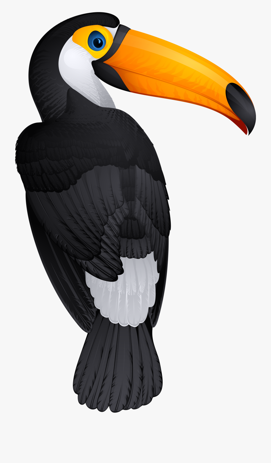Bird Png Picture Gallery - Toucan Png, Transparent Clipart