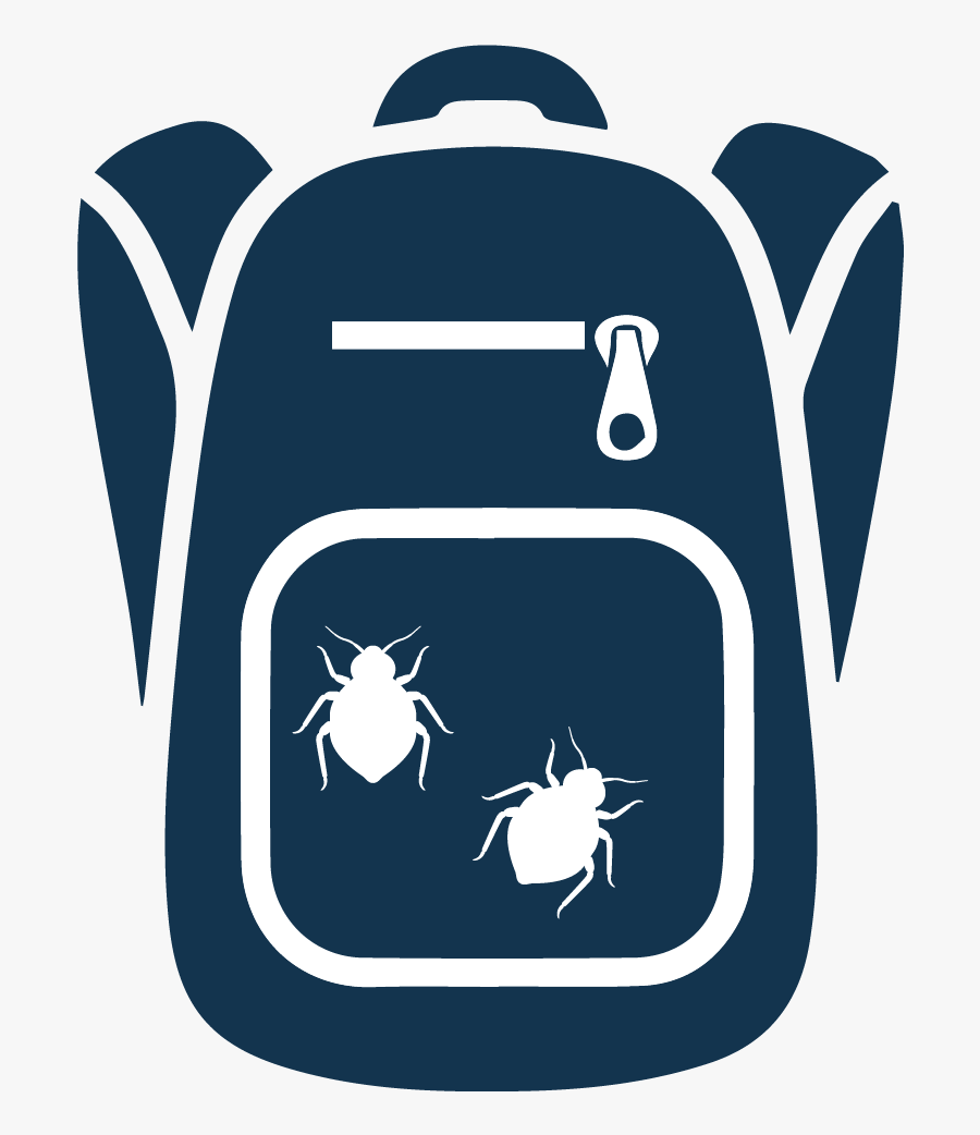 Bed Bugs Are Infesting Schools And Then Are Being Brought, Transparent Clipart