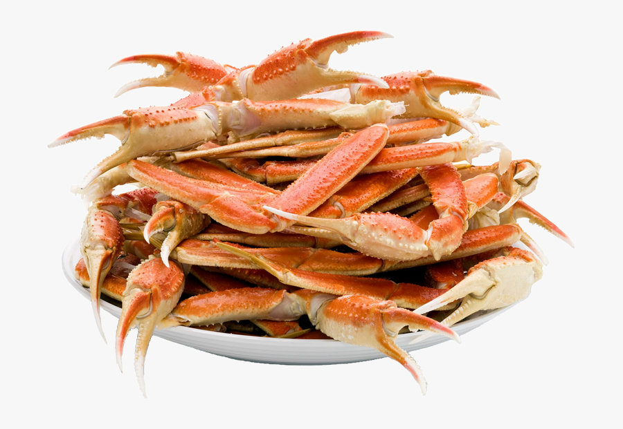 Transparent Hermit Crab Clipart - Seafood Pasta Buffets Menus, Transparent Clipart