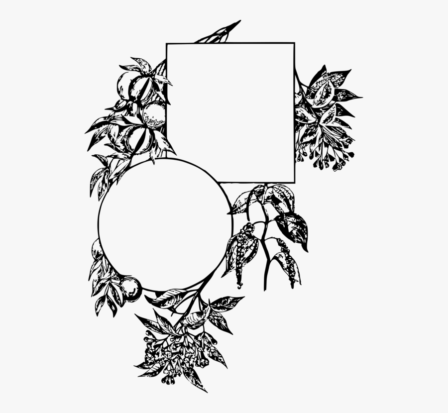 Art,monochrome Photography,artwork - Ilustrasi Lada Bingkai Ilustrasi Lada Rempah, Transparent Clipart