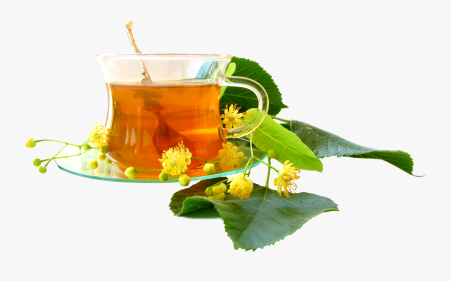 Herbal Green Tea Png With Cup - Transparent Tea Cup Png, Transparent Clipart