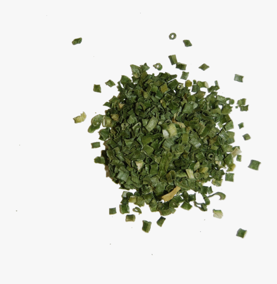 Resolution Pix - Onion Spring Chopped Transparent, Transparent Clipart