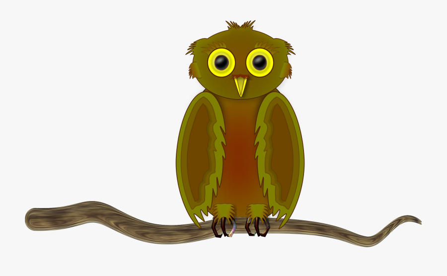 Owl On A Branch - Owl, Transparent Clipart