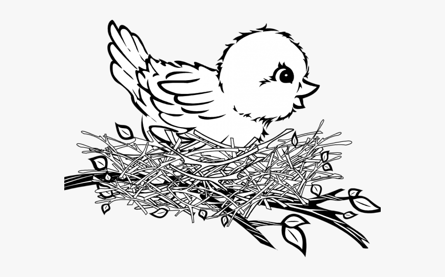 Bird In Nest Clipart Black And White, Transparent Clipart
