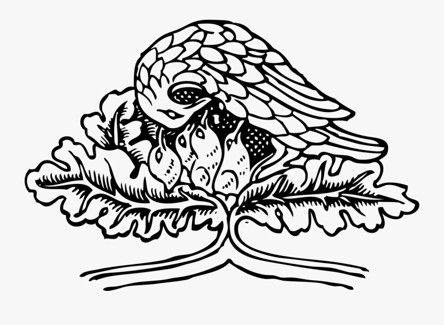 Ki Teitze The Bird - عصفور في العش للتلوين, Transparent Clipart